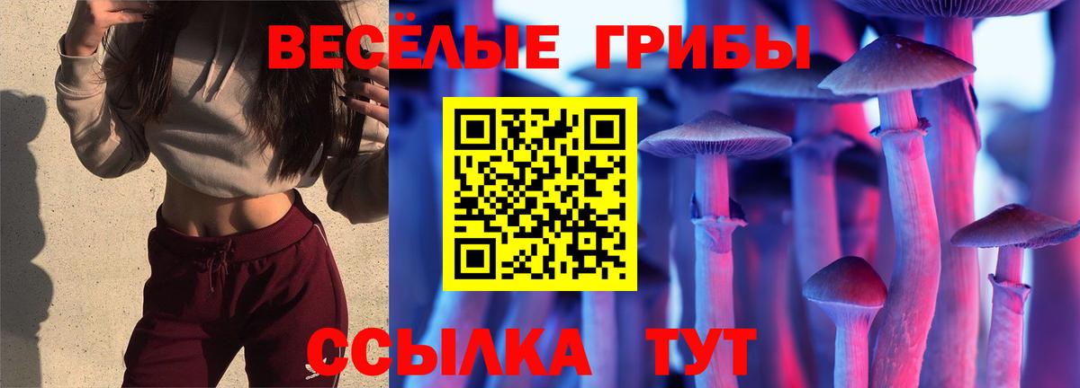 Псилоцибиновые грибы Psilocybine cubensis Великие Луки